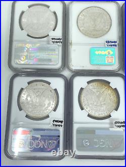 11- Different Date NGC MS 63-64 Morgan Silver Dollars