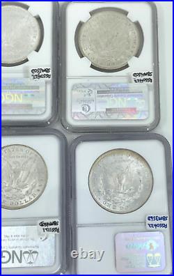 11- Different Date NGC MS 63-64 Morgan Silver Dollars