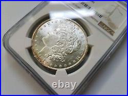 1878 CC Morgan Silver Dollar NGC MS 63 Tolch Collection Hoard Pedigree