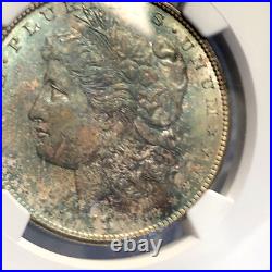 1878 s morgan silver dollar beautifully toned ngc63 One Of The Prettiest Ever