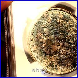1878 s morgan silver dollar beautifully toned ngc63 One Of The Prettiest Ever