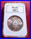 1879-S-Morgan-Silver-Dollar-MS64-NGC-Nice-Rim-Toning-01-nzx