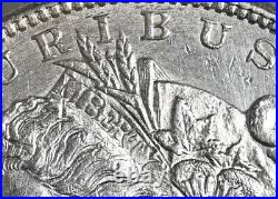 1879-s $1 Morgan Silver Dollar Rev 78 Top-100 Ngc Au Details #6805778-004
