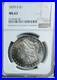 1879-s-Morgan-Silver-Dollar-Ngc-Ms63-Toner-Mintage-9-1million-free-shipping-01-ydb