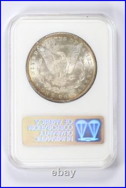 1880-S $1 Morgan Silver Dollar NGC MS64 Fatty Holder
