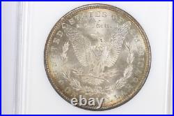 1880-S $1 Morgan Silver Dollar NGC MS64 Fatty Holder