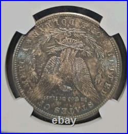 1880 S Morgan Silver Dollar NGC MS64 90%Silver MONSTER TONER, Bullseye Toning
