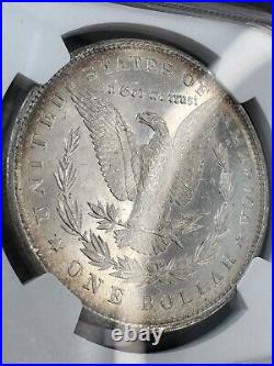 1880-S NGC MS65 Star Gorgeous Cameo Prooflike Beauty Lustrous Morgan Dollar PQBU