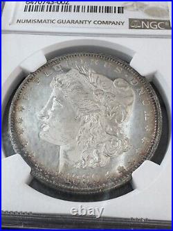 1880-S NGC MS65 Star Gorgeous Cameo Prooflike Beauty Lustrous Morgan Dollar PQBU