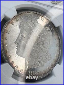 1880-S NGC MS65 Star Gorgeous Cameo Prooflike Beauty Lustrous Morgan Dollar PQBU