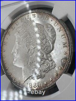 1880-S NGC MS65 Star Gorgeous Cameo Prooflike Beauty Lustrous Morgan Dollar PQBU