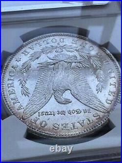 1880-S NGC MS65 Star Gorgeous Cameo Prooflike Beauty Lustrous Morgan Dollar PQBU