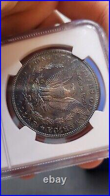 1880-S Silver Morgan Dollar Graxed MS-63 By NGC P. L. OBV & AMAZING TONING REV