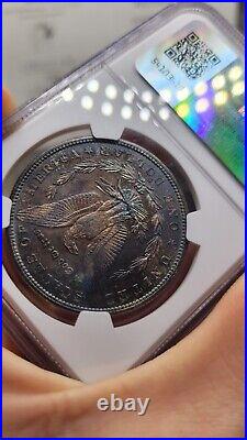 1880-S Silver Morgan Dollar Graxed MS-63 By NGC P. L. OBV & AMAZING TONING REV