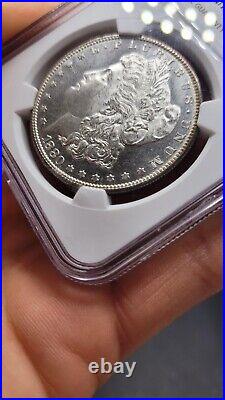 1880-S Silver Morgan Dollar Graxed MS-63 By NGC P. L. OBV & AMAZING TONING REV