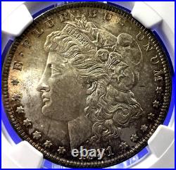 1881 MORGAN Silver Dollar NGC MS-63 Double 18-1 VAM 9 Golden Tone Amazing Strike