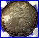 1881-MORGAN-Silver-Dollar-NGC-MS-63-Double-18-1-VAM-9-Golden-Tone-Amazing-Strike-01-prp
