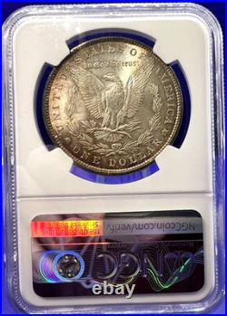 1881 MORGAN Silver Dollar NGC MS-63 Double 18-1 VAM 9 Golden Tone Amazing Strike