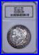 1881-S-Morgan-Silver-1-Dollar-NGC-MS-64-PL-Toned-Proof-Like-01-uzqe