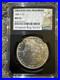 1881-S-Morgan-Silver-Dollar-NGC-MS-63-Original-Bag-Fragment-01-cc