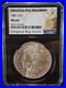 1881-S-Morgan-Silver-Dollar-NGC-MS-64-BAG-FRAGMENT-01-fhgb