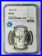 1881-S-Morgan-Silver-Dollar-NGC-MS-66-Nice-PQ-Sight-White-01-sub