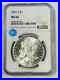 1881-S-Morgan-Silver-Dollar-NGC-MS-66-Sight-White-01-rrm