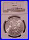 1881-S-TONING-Morgan-Silver-Dollar-NGC-Graded-MS64-3681239-178-01-xqwe