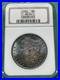 1882-Morgan-Silver-Dollar-NGC-MS-64-OH-Glorious-Toner-01-hllu