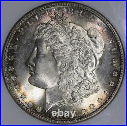 1882-S (MS64 CAC) Morgan Silver Dollar $1 NGC Gorgeous Rim Toning