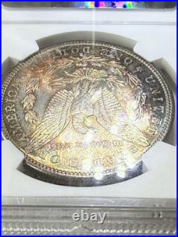 1882 S Morgan Silver Dollar MS-67 Amazing Toning And Colors NGC