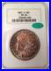 1882-S-Morgan-Silver-Dollar-NGC-Fatty-MS-64-Green-CAC-Looks-Super-Gem-66-01-laup