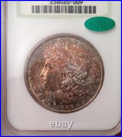 1882-S Morgan Silver Dollar NGC Fatty MS 64 & Green CAC Looks Super Gem 66