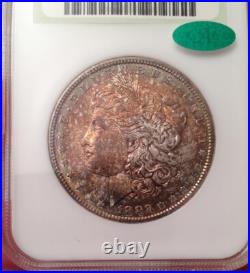 1882-S Morgan Silver Dollar NGC Fatty MS 64 & Green CAC Looks Super Gem 66