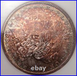 1882-S Morgan Silver Dollar NGC Fatty MS 64 & Green CAC Looks Super Gem 66