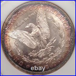 1882-S Morgan Silver Dollar NGC Fatty MS 64 & Green CAC Looks Super Gem 66