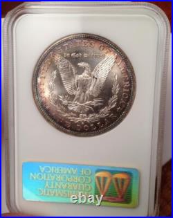 1882-S Morgan Silver Dollar NGC Fatty MS 64 & Green CAC Looks Super Gem 66