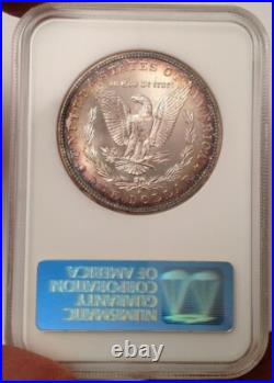 1882-S Morgan Silver Dollar NGC Fatty MS 64 & Green CAC Looks Super Gem 66