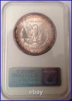 1882-S Morgan Silver Dollar NGC Fatty MS 64 & Green CAC Looks Super Gem 66