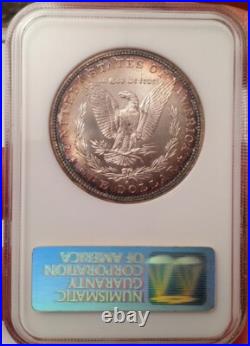 1882-S Morgan Silver Dollar NGC Fatty MS 64 & Green CAC Looks Super Gem 66