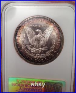 1882-S Morgan Silver Dollar NGC Fatty MS 64 & Green CAC Looks Super Gem 66