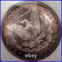 1882-S Morgan Silver Dollar NGC Fatty MS 64 & Green CAC Looks Super Gem 66