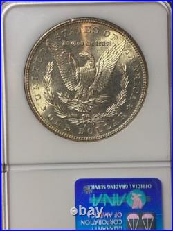 1882 S NGC MS65 GEM Vibrant Rainbow Toning MORGAN SILVER DOLLAR PQ Color Flashy