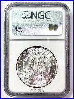 1883-O Morgan Silver Dollar NGC MS 65 Brown Label WOW LUSTER