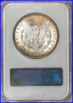 1884-O Morgan Dollar NGC MS64 Fatty Intact Holo! #DPS11