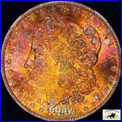 1884 O Morgan Silver Dollar NGC MS 64 Textile fireball toned