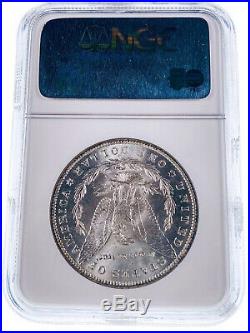1884-O NGC MS64 Great Montana Collection Pedigree Silver Morgan Dollar Coin
