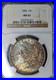 1886-Morgan-Silver-Dollar-NGC-MS63-US-1-Rainbow-Toned-Coin-Both-Sides-UNC-CH-BU-01-lxb