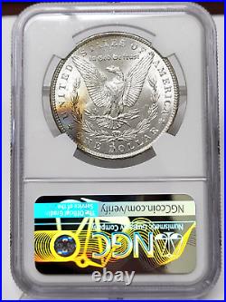 1886 P $1 Morgan Silver Dollar NGC MS63 1961 Treasury Collection