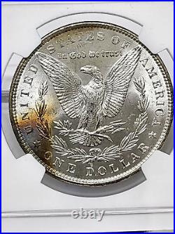 1886 P $1 Morgan Silver Dollar NGC MS63 1961 Treasury Collection